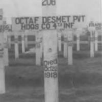 Octaaf Desmet original grave
