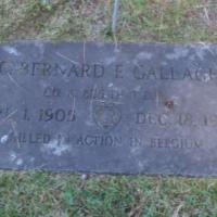 Bernard F Gallagher cenopath