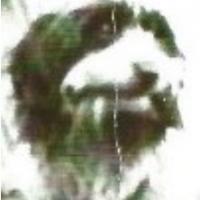 526 Mascot