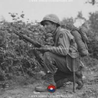 Nicholas Pappas photograph